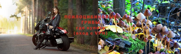 прущий лед Алексеевка