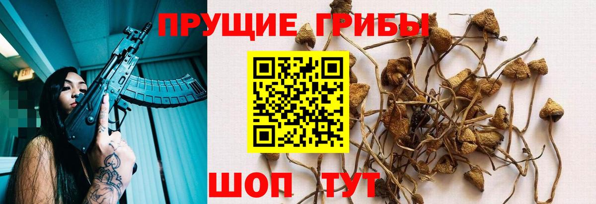 Старая Купавна  Псилоцибиновые грибы Magic Shrooms  Вход с VPN  Псилоцибиновые грибы прущие грибы 